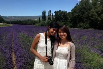 Private Tour: Provence Day Trip in the Footsteps of Peter Mayle from Aix-en-Provence