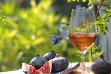 Small-group Wine tour to Marseille and AOP Cassis & Bandol from Aix en Provence