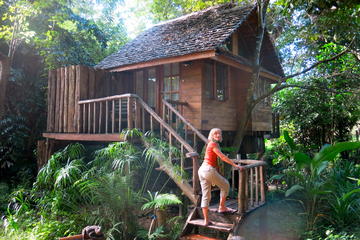 3-Day Cottage Treehouse Escape from Chiang Mai