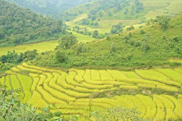 5-Day Myanmar Trekking Tour from Chiang Mai