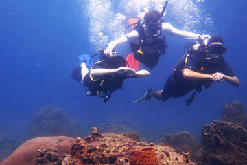 5-Day PADI Open Water Diving Certification Course in Koh Tao - Introductory Level