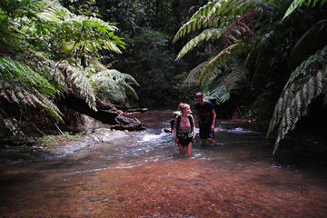 5-Day Wild Jungle Ranger Adventure Tour from Bangkok