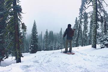 Snowshoeing Adventure to Badger Pass and Dewey Point