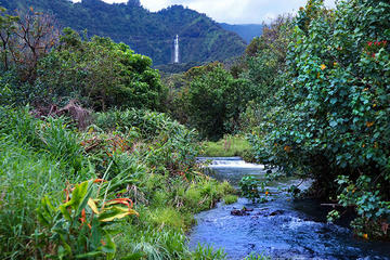 Hana Rainforest Helicopter Flight with Landing from Maui