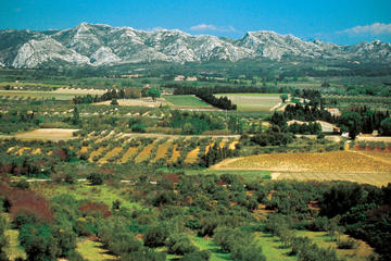 Alpilles Day Trip from Avignon Including St Rémy de Provence, Les Baux de Provence and Lunch