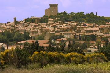 Grands Crus Wine Tasting and Vineyard Tour from Avignon