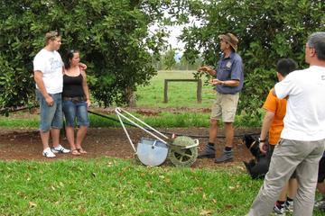 Atherton Tablelands Food and Wine Tour from Cairns