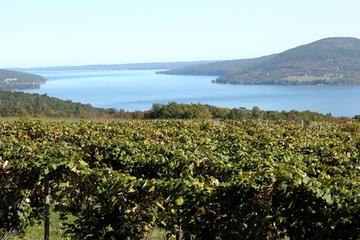 Canandaigua Wine Trail Experience