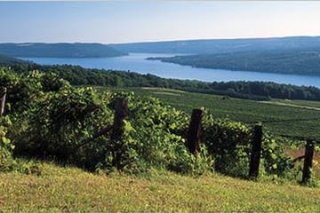 Keuka Lake Winery Tour