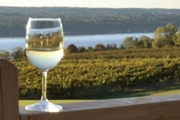 Seneca Lake Wine Tasting & Tour