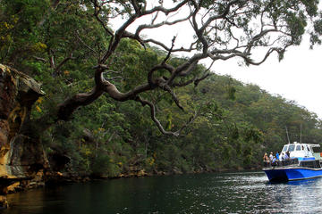Ku-ring-gai Chase National Park Day Trip from Sydney