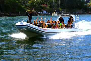Los Veranos Canopy Sea Departure Excursion