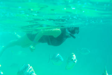 GLASS BOTTOM KAYAK AND SNORKEL AT TWO BAYS