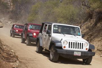 Private Tour: 4X4 Jeep Adventure from Los Cabos