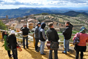 Priorat Wineries Tour from Barcelona Including Wine Tastings and Lunch