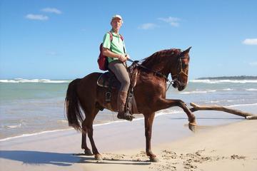 Horseback Riding from Punta Cana to Uvero Alto Beach