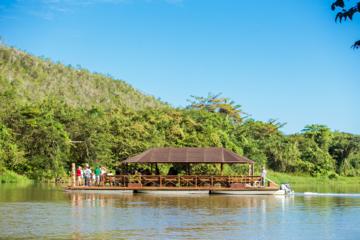Isla Saona Deluxe- Rio Chavon and Lobster