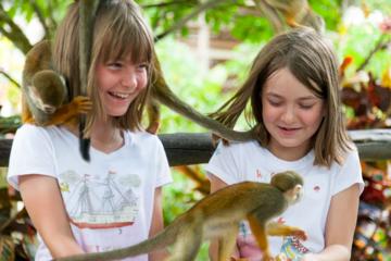 Safari Monkey Land from Punta Cana