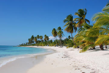 The 5 Best Saona Island Isla Tours Tickets 2019 La Saona Island Clásica La Romana