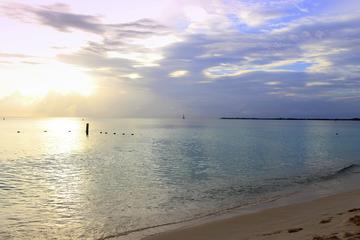 Grand Cayman Bioluminous Tour
