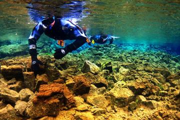 Buceo de superficie en Parque Nacional de Thingvellir y crucero de...