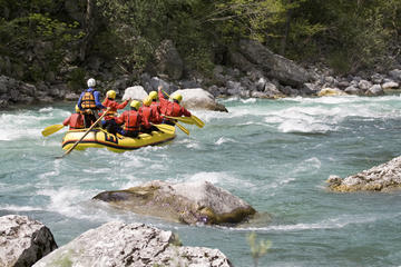 Crucero de avistamiento de ballenas y experiencia de rafting en aguas...