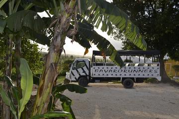 Dominican Republic Countryside Safari Tour from Punta Cana