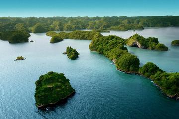 Full Day Los Haitises National Park Tour with Lunch