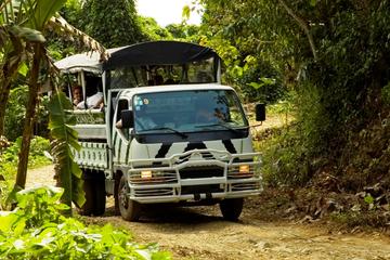 Puerto Plata Safari Adventure
