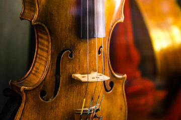 Interpreti Veneziani Concert in Venice Including Music Museum