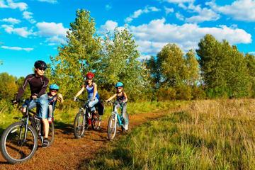 2-Day Small-Group Tuscany Bike Tour to Siena from Florence