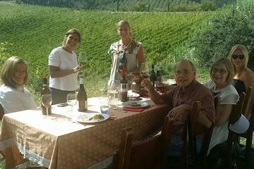 San Gimignano Tour with Vernaccia Tasting and Lunch from Florence