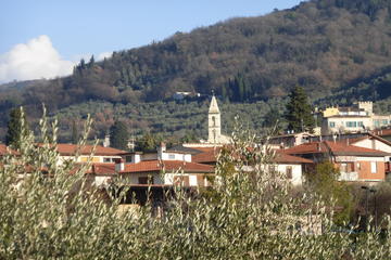 Settignano and Fiesole Hiking Excursion from Florence
