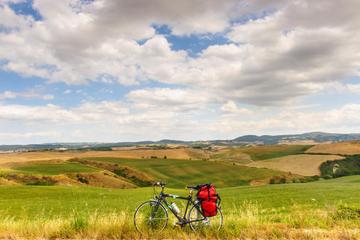 Tuscan Country Bike Tour from Florence Including Wine and Olive Oil Tastings