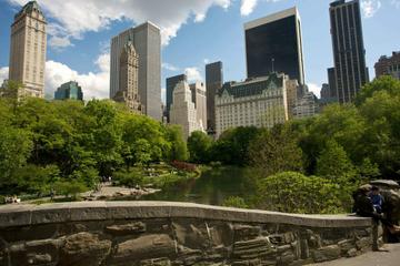 Central Park Walking Tour and Photoshoot