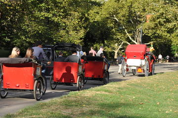 Private Central Park Pedicab Tour with Photoshoot