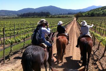 Casablanca Wine Tour and Horse Riding from Santiago