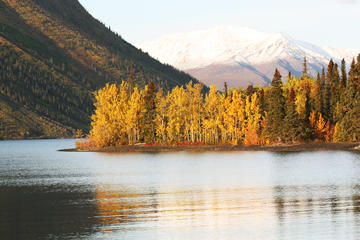 Day Trip 5-Day Golden Aurora Circle: Yukon and Alaska Summits near Whitehorse, Canada 