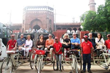 Old Delhi Group Tour by Rickshaws