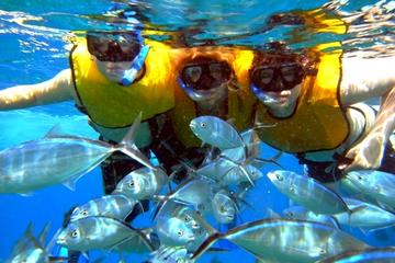 SPRINGBREAK 2018 SNORKEL BOOZE CRUISE ISLA MUJERES  WOW  WOW  WOW