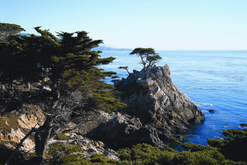Day Trip to Monterey and Carmel via California Coast