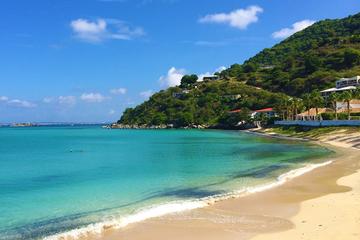 Shore Excursion: Private Sightseeing Tour of St Maarten