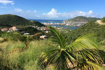 Shore Excursion: St Maarten Beach, Sightseeing and Shopping Tour