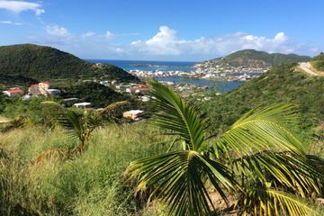 St Maarten French and Dutch Sightseeing and Shopping Tour