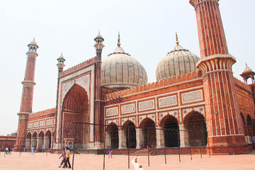 1 Day Delhi Sightseeing