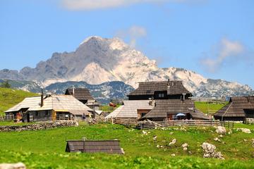 Kamnik and Velika Planina Small-Group Tour