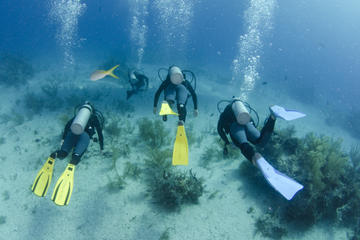 2-Tank Dive in Freeport