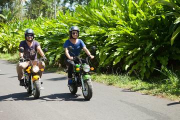 7-Hour Mini-Motor Bike Tour in Bali