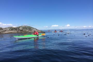 Discovery Island Kayak Tour