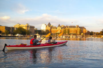Victoria Harbour Sunset Kayak Tour